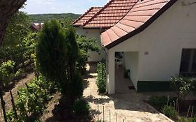 Holiday Home In Tihany/Balaton 20236